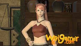 ff14神典石在哪换武器