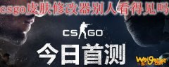 csgo皮肤修改器别人看得见吗