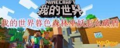我的世界暮色森林巫妖怎么破盾