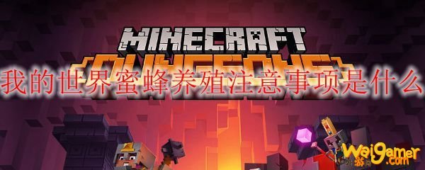 我的世界蜜蜂养殖注意事项是什么