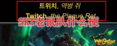 SKT老鼠队什么梗