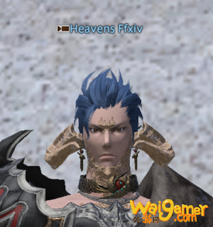 ff14集体动作怎么开