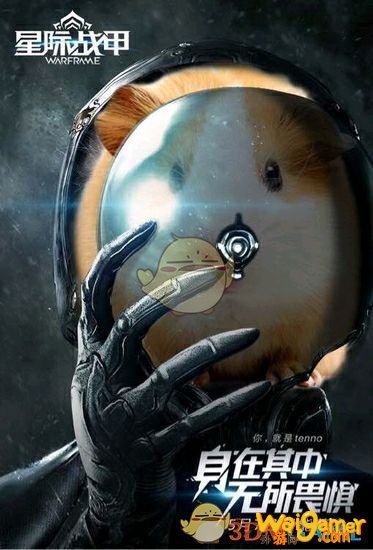 星际仓鼠是什么梗