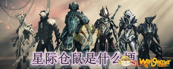 星际仓鼠是什么梗