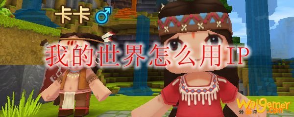 我的世界怎么用IP