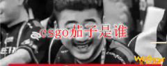 csgo茄子是谁