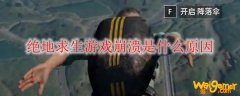绝地求生游戏崩溃是什么原因