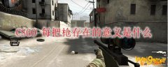 CSGO 每把枪存在的意义是什么