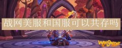 战网美服和国服可以共存吗