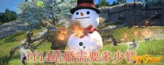 ff14结婚需要多少钱