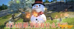 ff14结婚方案有什么不同