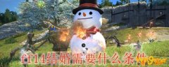 ff14结婚需要什么条件