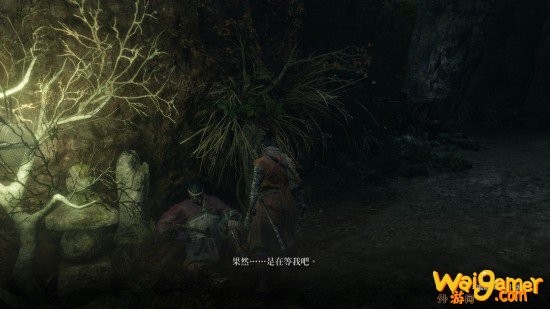 只狼水生的凛支线任务怎么完成 只狼水生的凛任务完成方法