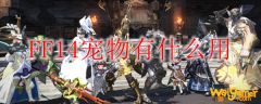 FF14宠物有什么用