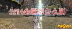 ff14金蝶币怎么刷