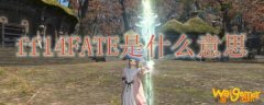 ff14fate是什么意思