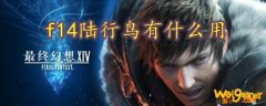 ff14陆行鸟有什么