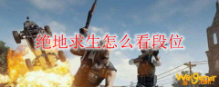 绝地求生怎么看段位