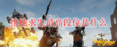 绝地求生最高段位是什么