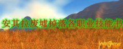安其拉废墟掉落各职业技能书