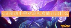 dnf萌动小兽欢迎礼盒能开出什么