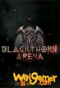 黑荆棘角斗场值得玩吗 黑荆棘角斗场最低电脑配置要求