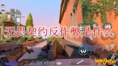 无畏契约反作弊是什么