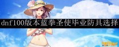dnf100版本蓝拳圣使毕业防具选择