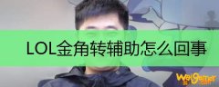 LOL金角转辅助怎么回事