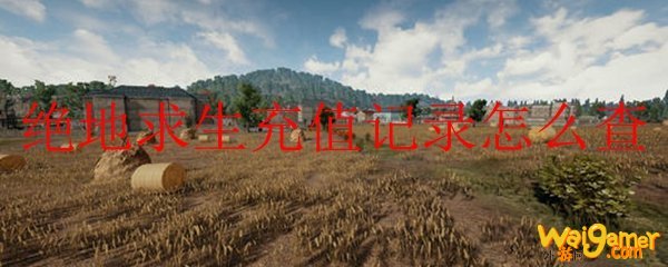 绝地求生充值记录怎么查