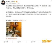 小叮当离开RNG是怎么回事