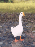 《逆水寒》2020年5月7日优化和调整介绍