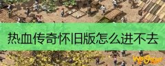 热血传奇怀旧版怎么进不去