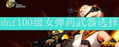 dnf100级女弹药武器选择
