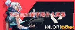 Valorant新手用什么武器