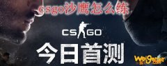 csgo沙鹰怎么练