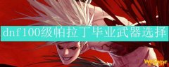 dnf100级帕拉丁毕业武器选择