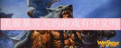 美服暴雪买的游戏有中文吗