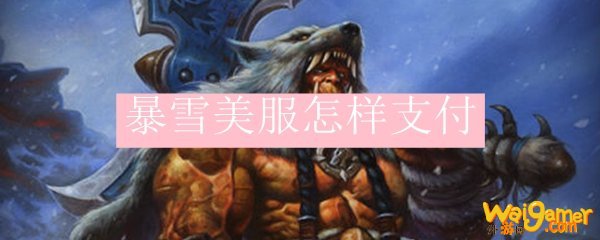 暴雪美服怎样支付