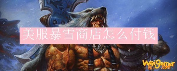 美服暴雪商店怎么付钱