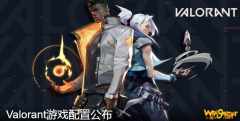 《Valorant》配置介绍