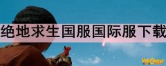 绝地求生国服国际服下载