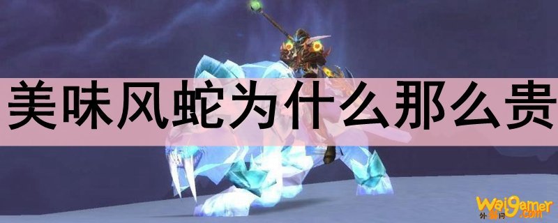 美味风蛇为什么那么贵