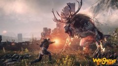 巫师3刷钱方法技巧 杰洛特怎么刷钱比较快