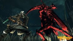 黑暗之魂2白屏闪退解决方法 游戏停止工作怎么办