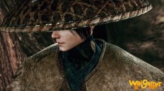 嗜血印电脑配置要求 玩嗜血印对电脑的配置要求高吗