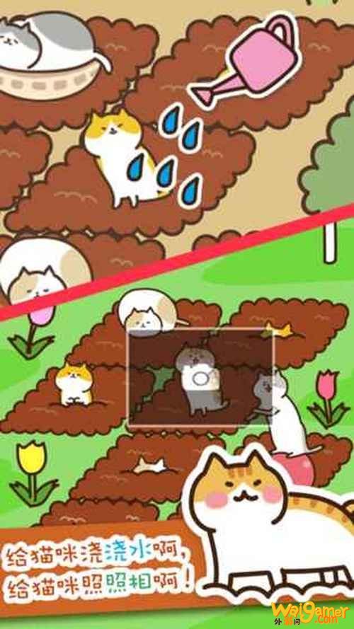 猫咪田园怎么玩 猫咪田园基本玩法介绍