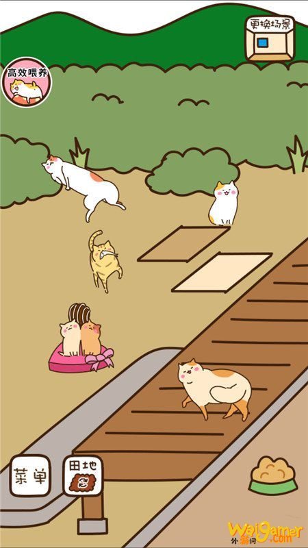 猫咪田园怎么吸引朋友 猫咪田园吸引朋友攻略