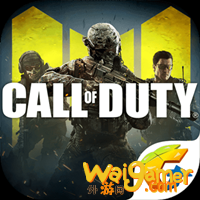 使命召唤手游国际服