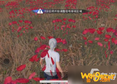 吃鸡花海在哪里